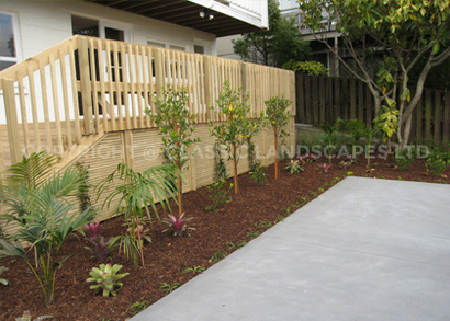 Ready lawn Auckland, New lawn design garden ideas North Shore